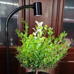 Lámpara <span class=keywords><strong>LED</strong></span> USB para <span class=keywords><strong>Acuario</strong></span> de Escritorio, Micro Vista, para Plantas Acuáticas, Plantas Verdes y Suculentas, Plástico Duradero, Ahorro de Energía - Product Image 3