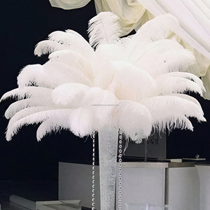 Trang phục & phụ kiện