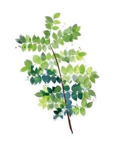 Cadre de <span class=keywords><strong>Collage</strong></span> en bois couleur noir, décoration murale, combinaison artistique, ensemble de liage, libre d'impression, toile à l'huile des plantes modernes, haute qualité - Product Image 4