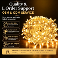Guirlandes lumineuses LED personnalisées IP65, étanches, pour l'extérieur, pour les fêtes, le jardin, l'arbre, le patio, la décoration de la maison