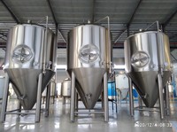 Cuve de Fermentation Multifonctionnelle à Double Enveloppe, Volume Personnalisé, en Acier Inoxydable pour Bière, Cidre et Vin de Fruits