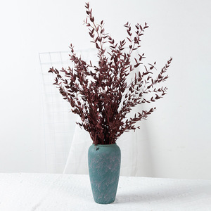 G41 Nouveautés Feuilles d'<span class=keywords><strong>eucalyptus</strong></span> naturelles sèches bon marché Fleurs décoratives <span class=keywords><strong>Guirlande</strong></span> d'<span class=keywords><strong>eucalyptus</strong></span> à fleurs séchées - Product Image 1
