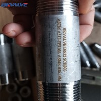 Mamelon fileté SS316 NPT par exemple 1/2 "de diamètre par 2" de long