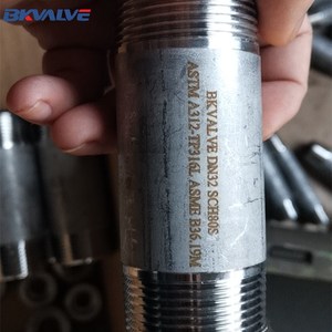 Mamelon fileté SS316 NPT par <span class=keywords><strong>exemple</strong></span> 1/2 "de diamètre par 2" de long - Product Image 5