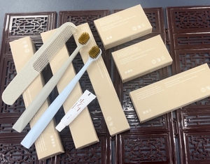 Khách sạn sang trọng tiện nghi đồ dùng vệ sinh Kit tùy chỉnh dùng một lần bàn chải đánh răng dán xách tay khách sạn tiện nghi dùng một lần Kit - Product Image 1