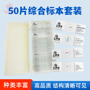 50 - Product Image 5