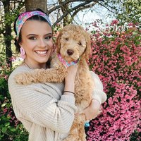 Chouchous cheveux cravates animal de compagnie Bandana collier de luxe chat chien Bandanas bavoirs gros chien écharpe