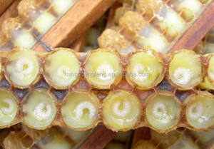 Suministro de fábrica 100% puro crudo Natural fresco congelado abejas reina leche salud suplemento orgánico <span class=keywords><strong>jalea</strong></span> <span class=keywords><strong>real</strong></span> al por mayor - Product Image 5