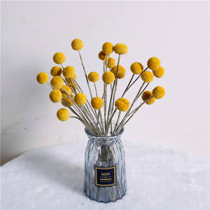 Boutons Billy séchés Bouquet jaune Craspedia naturel Décoration de mariage Bricolage Artisanat - Product Image 5