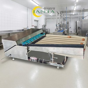 Máquina Clasificadora de Huevos Compacta de Acero Inoxidable con Capacidad para 2000 Huevos por Hora, Equipo de Clasificación Automática y Báscula Digital de 220v - Product Image 6