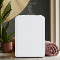 Diffuseur d'arômes USB en plastique à piles, garantie 1 an, usage domestique, parfum professionnel