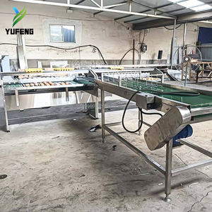 Macchina per Pesatura e Classificazione Uova 2.000 Pezzi/Ora, 5 Livelli di Classificazione, Pesatura Meccanica, Adatta per Impianti di Lavorazione Uova - Product Image 5