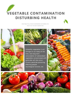 Système de serre hydroponique en plastique ONEONE avec éclairage LED, petite serre avec couverture en polycarbonate, armoire de culture rapide intelligente pour plantes - Product Image 6