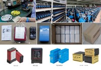 Détecteur de boucle de véhicule sensible PD234 à double canal Tenet pour solution de système de stationnement intelligent