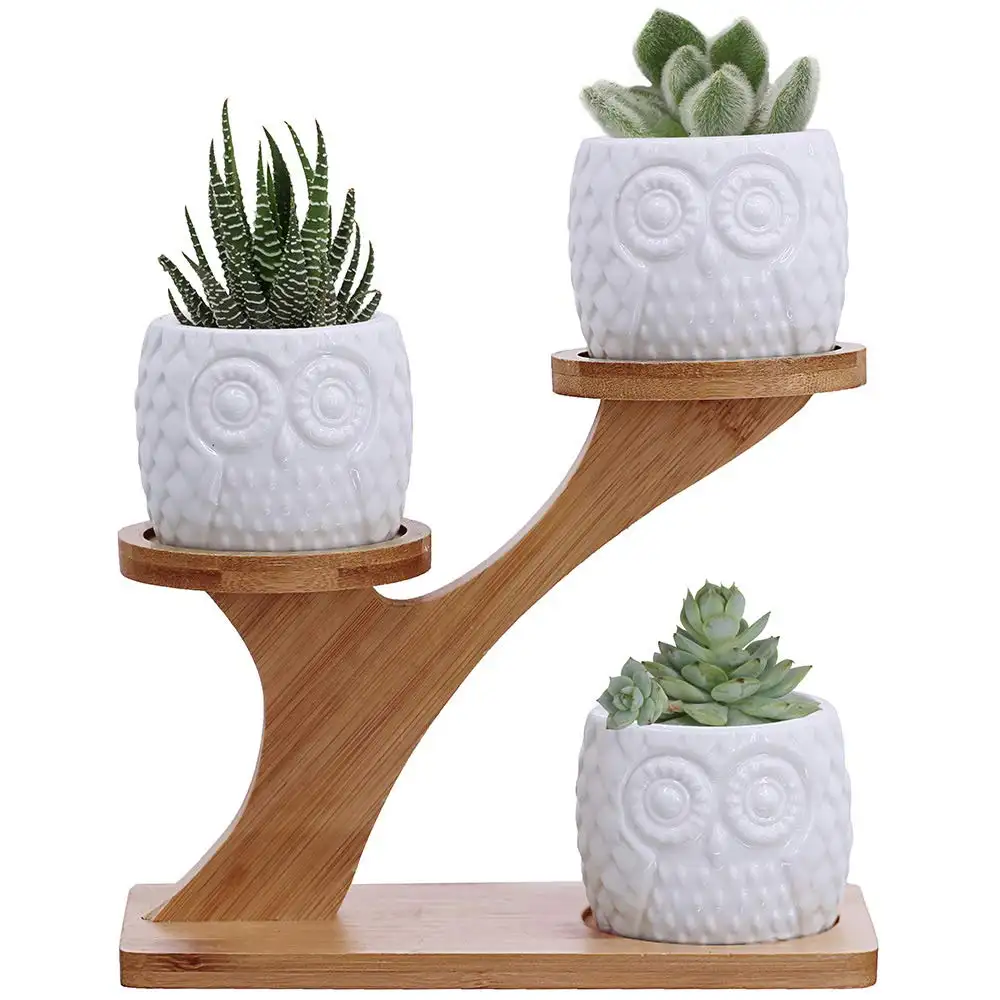 decorative ceramic 3pcs Owl Succulent Pots with 3 Tier Bamboo Saucers Stand Holder White Modern Decorative Ceramic Flower Plant