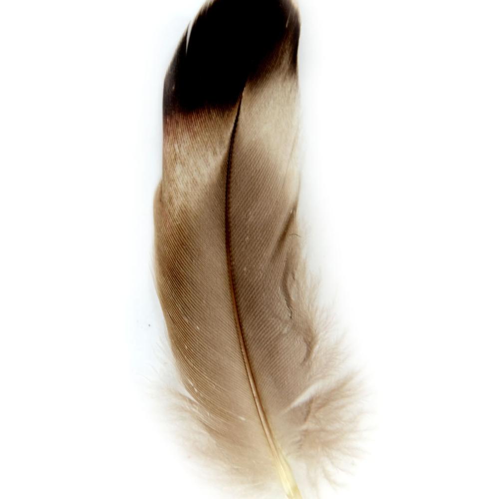 Перьевые поделки, оптовая продажа, лидер продаж, воланчик, Утиный пух и перо для творчества