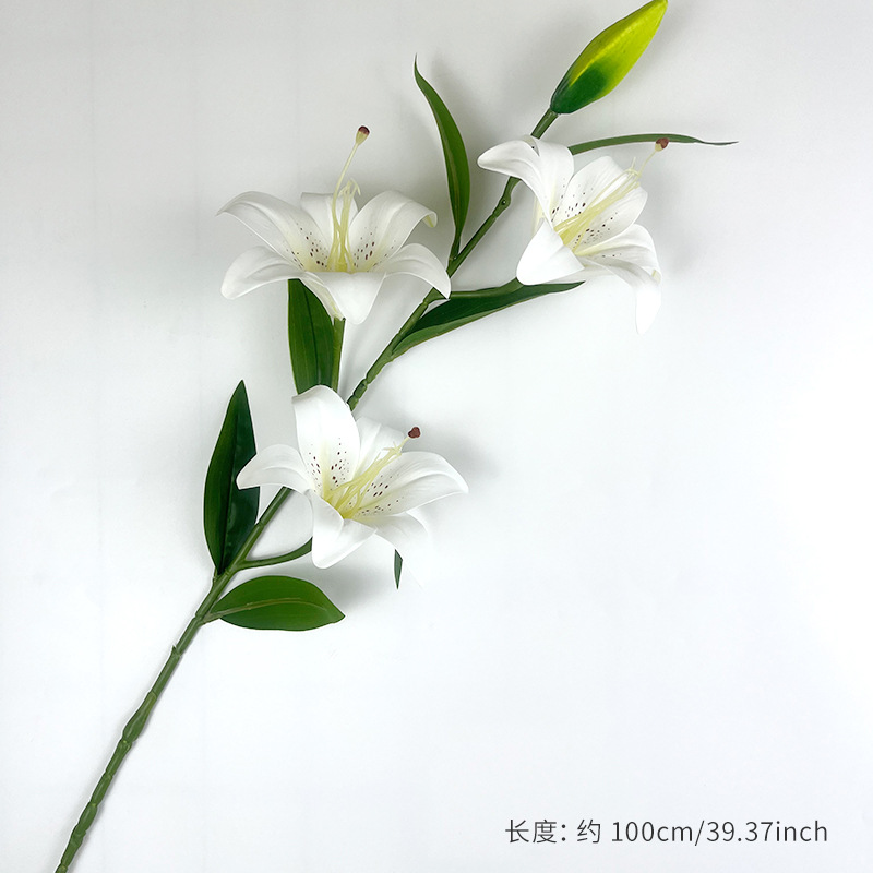 Blanc