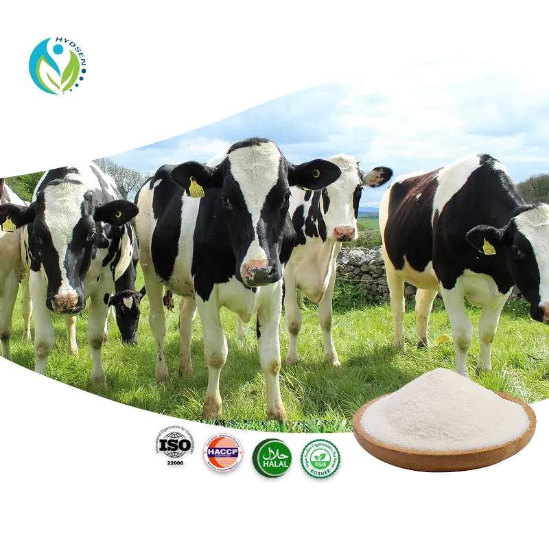 Gli ingredienti delle materie prime si dissolvono rapidamente 100% polvere di idrolizzato di collagene bovino puro naturale