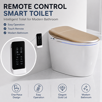 Toilette intelligente personnalisée intégrée avec bidet et couvercle argenté pour projets hôteliers et d'appartements