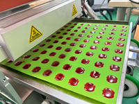 LST Dernier cuiseur à bonbons automatique de bureau Nouveau design pour le chocolat Gummy Jelly Hard Candy Snack Machines Auto Sugar Machine