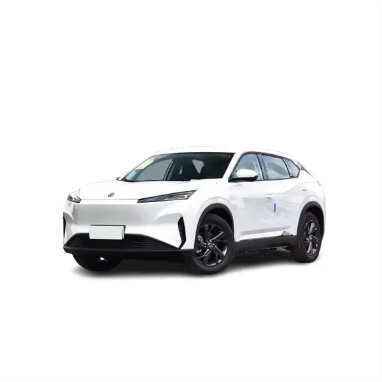 2023 새로운 저렴한 가격 전기 자동차 Dongfeng Aeolus SKY EV01 EV SUV 자동 Dongfeng 하늘 ev 01 중고차 택시 중국에서 제조