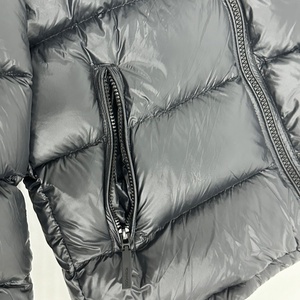 Veste bouffante à capuche avec fermeture éclair imperméable et logo personnalisé pour l'extérieur revêtement en graphène doublure taffetas capuche coupe-vent poche de rue chaleur - Product Image 2