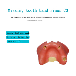 Sản Xuất Maxillary Xoang Nâng Tập Thể Dục Thực Hành Nha Khoa Mô Hình Cấy Ghép Mô Hình Đào Tạo Nha Khoa Răng Mô Hình <span class=keywords><strong>B</strong></span> - Product Image 2
