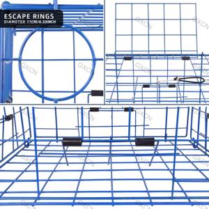 Lot de 2 pièges à crabe pliables, résistants à <span class=keywords><strong>la</strong></span> corrosion, comprenant un sac à appâts, un pot à crabes, une règle et des outils pour une meilleure capture du crabe - Product Image 2