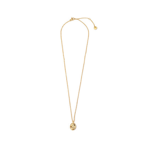 Collar con Colgante de Acero Inoxidable Chapado en Oro Tz, Gargantilla de Moda para Mujer, Joyería para Uso Diario - Product Image 1