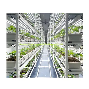 Automated Hydroponic Control System Efficient Growth 40/20HQ intelligent Container Plant Factory