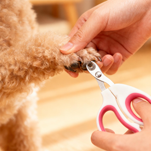 กรรไกรตัดเล็บสุนัขและแมว ขายส่ง กรรไกรตัดเล็บสัตว์เลี้ยงสแตนเลสแบบเป็นมิตรกับสิ่งแวดล้อม - Product Image 3