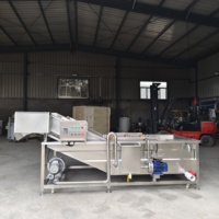 Dieptereinigende luchtbelwasmachine voor fruit en groenten, efficiënt reinigingssysteem voor wortelgroenten en fruit, motor en motorblok.