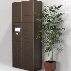 Hiện Đại Ngoài Trời Lưu Trữ <span class=keywords><strong>Locker</strong></span> Lắp Ráp Thép Kim Loại Tủ Thông Minh Khóa Điện Tử Cho Văn Phòng Sử Dụng Ngoài Trời Violanta Ngành Công Nghiệp Ru - Product Image 6