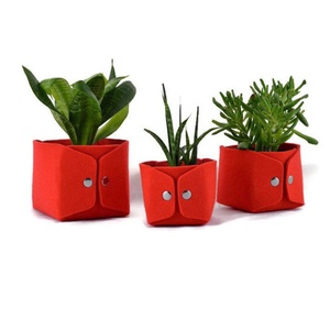 Bolsas de Cultivo Económicas para Educación Infantil Temprana, Bolsa para Cultivar Plantas - Product Image 3
