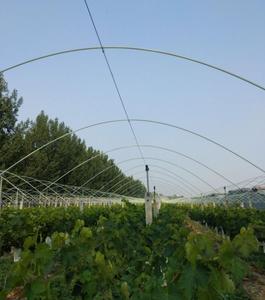 Poteaux de soutien agricoles en fibre de verre pour olives/pommes, réutilisables, haute résistance, en fibre de verre (tige/tube) - Product Image 1