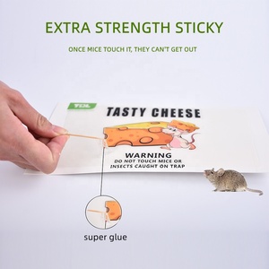 Hộ gia đình rat thấm dùng một lần chuột dính bẫy keo Hội Đồng Quản trị rat Keo Bẫy - Product Image 4
