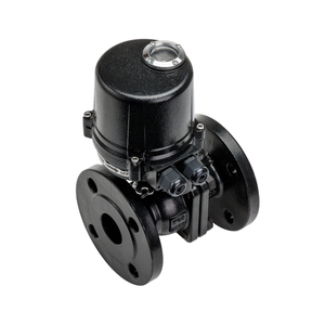 Serie LQ con Brida de Bola WCB Tipo 1 Pulgada Base OEM - Product Image 3