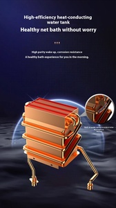 Chất lượng cao đồng ống khói nhiệt tankless Máy nước nóng thiết kế mới <span class=keywords><strong>Slate</strong></span> gas Geyser cho nhà hoặc RV phòng tắm ngoài trời ứng dụng - Product Image 5