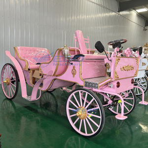 Xuchang EGO Princesse Carrosse Électrique Touristique Rose Victorien Élégant en Acier Garantie 24 Mois Prix Bas - Product Image 3