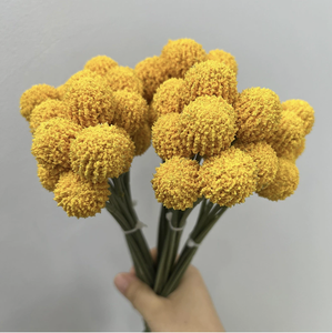 Ramo de Craspedia Artificial de Seda para Decoración del Hogar, Arreglos Florales para el Día de San Valentín y Graduación - <span class=keywords><strong>Billy</strong></span> Balls Amarillo Dorado - Product Image 2