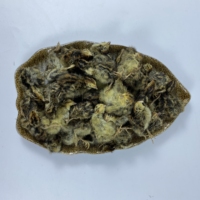 Cailles lyophilisées entières avec plumes, friandise pour chiens et chats, pour chats difficiles, chiens de petite et moyenne taille, alimentation crue