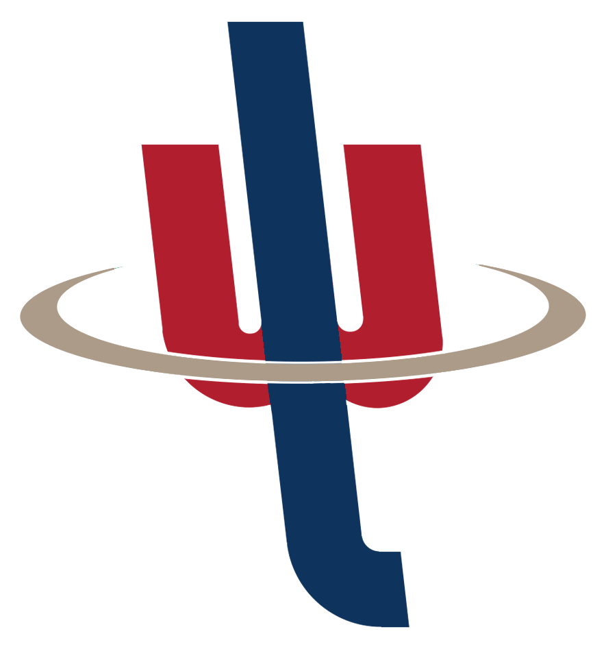 Zhongshan Lingwei Motor Co., Ltd. logo