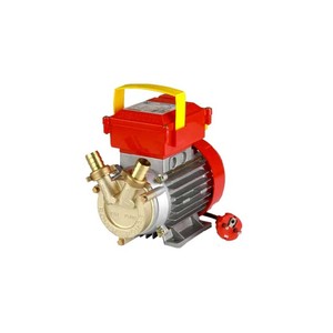 Bơ<span class=keywords><strong>m</strong></span> điện bằng đồng để chuyển chất lỏng 1 HP 2850 r. <span class=keywords><strong>p</strong></span>.<span class=keywords><strong>m</strong></span>. Công suất 4500 L/H Ø 30 mm - Product Image 2