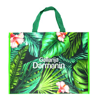 Sac non tissé laminé, sac non tissé à couture écologique, sac à provisions non tissé écologique
