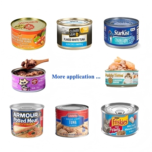 Máquina Automática Eléctrica para Rellenar y Coser Papas Fritas con Cajas y Embalaje de Madera para Enlatado de Alimentos - Product Image 5