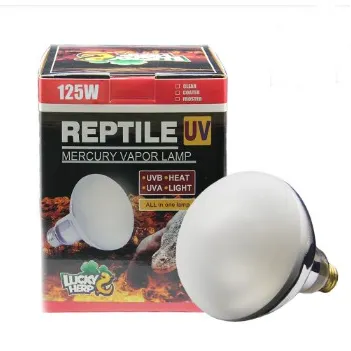 Production de masse R115 125W auto-ballastées reptile uvb vapeur de mercure lampe d'ampoule pour <span class=keywords><strong>reptiles</strong></span> Vivants