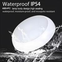 IP65 Sensing 30W LED Tri-preuve Plafonnier de secours Style nordique moderne 80 PC 12 Sports de plein air ABS Surface 85 AC Oyster