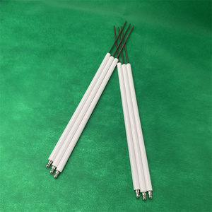 อิเล็กโทรดจุดระเบิดแก๊สหุ้มฉนวนเซรามิกเข็มจุดระเบิดน้ำมัน - Product Image 1