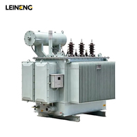 LEINENG 500kVA Yağlı Tip Trafo, 10kV 11kV Güç Dağıtım Trafosu Güç Trafosu