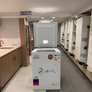 X-Ming 상업용 미니 냉동고 가정용 직냉식 소형 보관용 냉동고 - Product Image 1